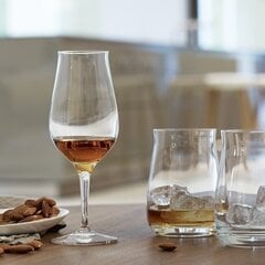 Viskio taurė Spiegelau Whisky Snifter Premium, 2 vnt. kaina ir informacija | Taurės, puodeliai, ąsočiai | pigu.lt