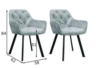 Valgomojo kėdės, 2 vnt., pilkos spalvos kaina ir informacija | Virtuvės ir valgomojo kėdės | pigu.lt