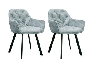 Valgomojo kėdės, 2 vnt., pilkos spalvos kaina ir informacija | Virtuvės ir valgomojo kėdės | pigu.lt