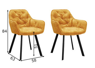 Обеденные стулья, 2 шт цена и информация | Стулья для кухни и столовой | pigu.lt