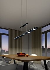 Подвесной светильник Lacal, черный матовый, 920051869 цена и информация | Люстры | pigu.lt