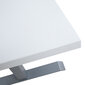 Stalas Ergo, 160x80xH60-125cm, baltas/pilkas kaina ir informacija | Kompiuteriniai, rašomieji stalai | pigu.lt