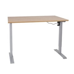 Reguliuojamo aukščio elektrinis stalas Home4You Ergo, 140x70 cm, rudas/pilkas kaina ir informacija | Kompiuteriniai, rašomieji stalai | pigu.lt