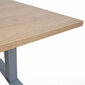 Reguliuojamo aukščio elektrinis stalas su 2 varikliais Home4You Ergo, 160x80 cm, rudas/pilkas kaina ir informacija | Kompiuteriniai, rašomieji stalai | pigu.lt
