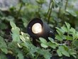 Garden24 taškinis šviestuvas 6W juodas IP44 (pakabinamas ir montuojamas ant paviršiaus) цена и информация | Lauko šviestuvai | pigu.lt