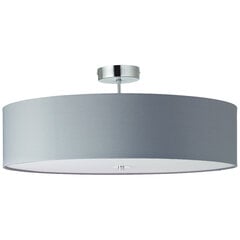 Потолочный светильник Andria, серый, 920053224 цена и информация | Потолочные светильники | pigu.lt