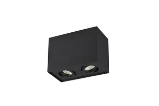 Trio потолочный точечный светильник Biscuit цена и информация | Потолочные светильники | pigu.lt