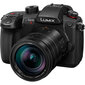 Panasonic Lumix G GH5 II (DC-GH5M2L) + Panasonic LEICA DG VARIO-ELMARIT 12-60mm / F2.8-4.0 ASPH. / POWER O.I.S. (H-ES12060) цена и информация | Skaitmeniniai fotoaparatai | pigu.lt