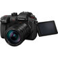 Panasonic Lumix G GH5 II (DC-GH5M2L) + Panasonic LEICA DG VARIO-ELMARIT 12-60mm / F2.8-4.0 ASPH. / POWER O.I.S. (H-ES12060) цена и информация | Skaitmeniniai fotoaparatai | pigu.lt