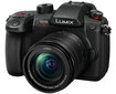 Panasonic Lumix G GH5 II (DC-GH5M2M) + Panasonic LUMIX G Vario 12-60mm f/3.5-5.6 Asph. Power O.I.S (H-FS12060) (Black) kaina ir informacija | Skaitmeniniai fotoaparatai | pigu.lt