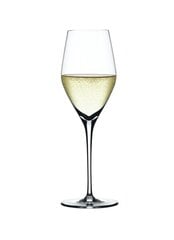 Spiegelau Authentis šampano / vyno taurė, 4 vnt. kaina ir informacija | Taurės, puodeliai, ąsočiai | pigu.lt