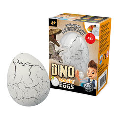 Волшебное яйцо динозавра Буки цена и информация | Развивающие игрушки | pigu.lt