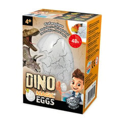 Stebuklingas dinozauro kiaušinis Buki kaina ir informacija | Lavinamieji žaislai | pigu.lt