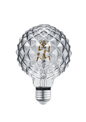 Trio LED lemputė Globe 904 E27 4W 140lm 3000K kaina ir informacija | Elektros lemputės | pigu.lt