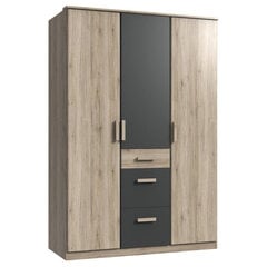 Шкаф Cariba, коричневый/серый цена и информация | Шкафы | pigu.lt