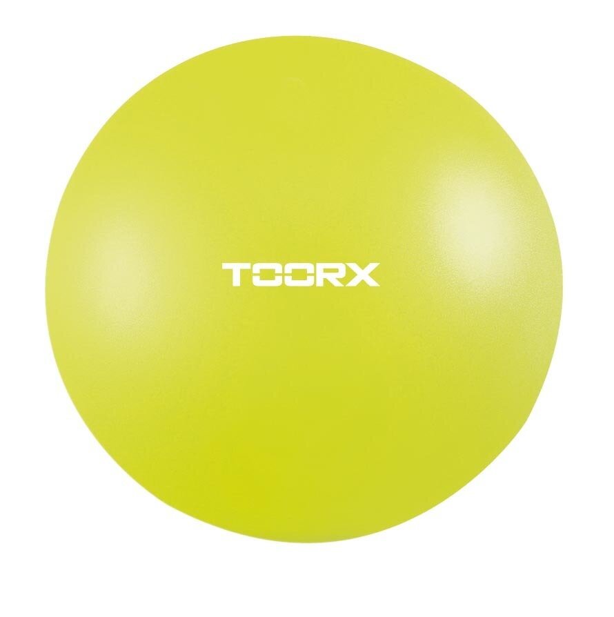 Jogos kamuolys Toorx AHF-045, 25 cm, žalias kaina ir informacija | Jogos prekės | pigu.lt