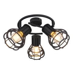 Потолочный светильник Globo Lighting CLASTRA 15388-3 цена и информация | Потолочные светильники | pigu.lt