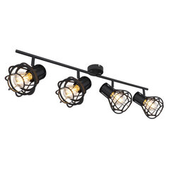 Потолочный светильник Globo Lighting CLASTRA 15388-4 цена и информация | Потолочные светильники | pigu.lt