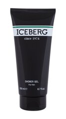 Dušo želė Iceberg Mens Since 1974 Shower Gel, 200ml kaina ir informacija | Iceberg Kvepalai, kosmetika | pigu.lt