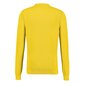 Vyriškas megztinis Lerros 2085001, geltonas цена и информация | Megztiniai vyrams | pigu.lt