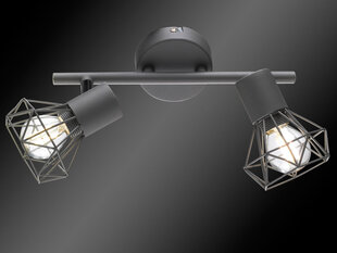 Fischer&Honsel потолочный светильник Ran цена и информация | Потолочные светильники | pigu.lt