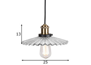 Потолочный светильник Cobbler, прозрачный цена и информация | Люстры | pigu.lt