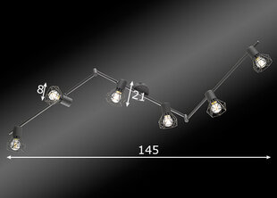 Потолочный светильник Ran, серый/хром цена и информация | Потолочные светильники | pigu.lt