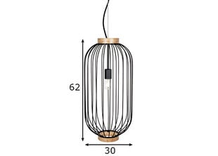 Подвесной светильник Globen Lighting цена и информация | Люстры | pigu.lt