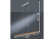 Fischer & Honsel lubinis šviestuvas Strasburg kaina ir informacija | Lubiniai šviestuvai | pigu.lt