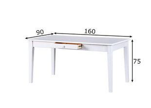 Valgomojo stalas Westerland 160 x 90 cm kaina ir informacija | Virtuvės ir valgomojo stalai, staliukai | pigu.lt
