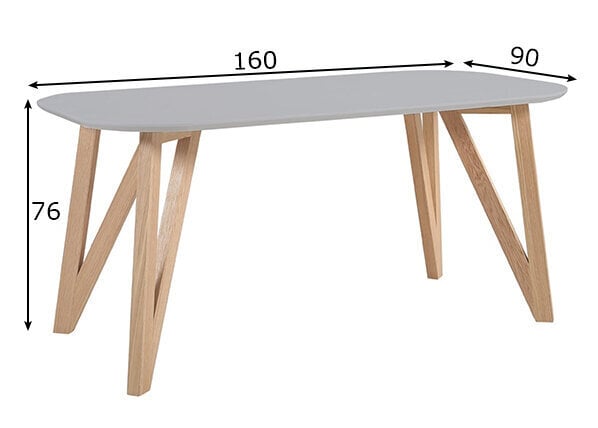 Stalas 160x90 cm kaina ir informacija | Virtuvės ir valgomojo stalai, staliukai | pigu.lt