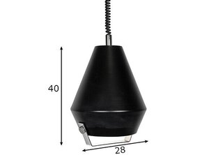 Потолочный светильник Lift Me, черный цена и информация | Люстры | pigu.lt