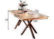Valgomojo stalas Tische 200 x 100 cm, antikinis rudas kaina ir informacija | Virtuvės ir valgomojo stalai, staliukai | pigu.lt
