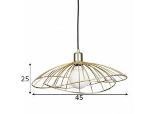 Globen Lighting pakabinamas šviestuvas Ray kaina ir informacija | Globen Lighting Baldai ir namų interjeras | pigu.lt