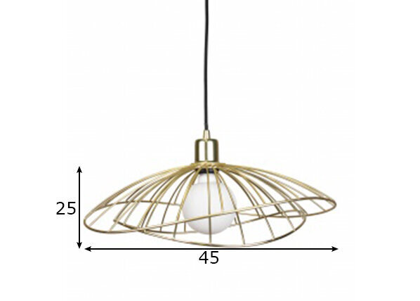 Globen Lighting pakabinamas šviestuvas Ray kaina ir informacija | Pakabinami šviestuvai | pigu.lt