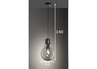 Globen Lighting pakabinamas šviestuvas Louis kaina ir informacija | Pakabinami šviestuvai | pigu.lt