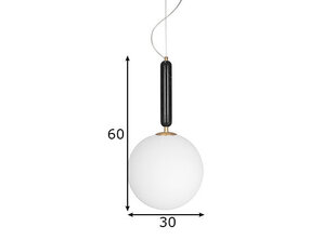 Globen Lighting pakabinamas šviestuvas Torrano kaina ir informacija | Pakabinami šviestuvai | pigu.lt