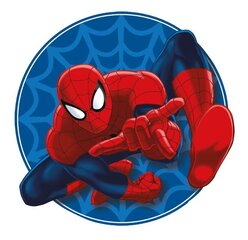 Декоративная подушка Spiderman  40x40 cm цена и информация | Декоративные подушки и наволочки | pigu.lt