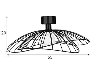 Globen Lighting šviestuvas Ray kaina ir informacija | Lubiniai šviestuvai | pigu.lt