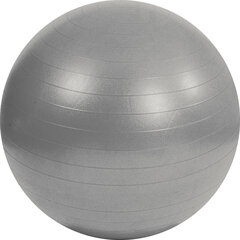 Мягкий невзрывной мяч Mambo Max AB Gym Ball 95, серебристый цена и информация | Гимнастические мячи | pigu.lt