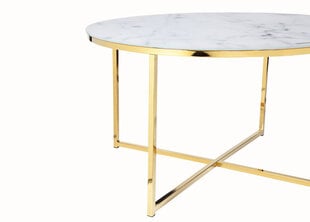 Кофейный столик SalesFever Laud, белый/золотой цена и информация | Журнальные столы | pigu.lt