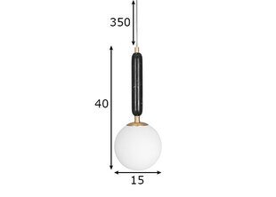 Потолочный светильник Torrano, черный цена и информация | Потолочные светильники | pigu.lt