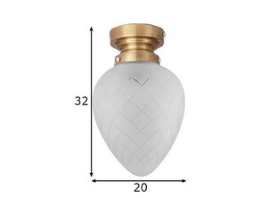 Потолочный светильник для ванной Juni, белый цена и информация | Потолочные светильники | pigu.lt