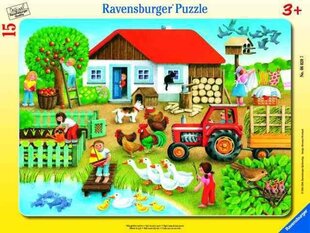 Ravensburger dėlionė Kur patalpinti? 15 vnt. kaina ir informacija | Dėlionės (puzzle) | pigu.lt