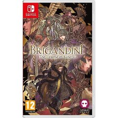 Žaidimas Brigandine: Legend of Runersia, skirta Nintendo Switch kaina ir informacija | Kompiuteriniai žaidimai | pigu.lt