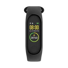 Denver BFH-242 Black kaina ir informacija | Išmaniosios apyrankės (fitness tracker) | pigu.lt