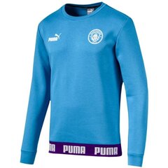 Bluzonas vyrams Puma kaina ir informacija | Sportinė apranga vyrams | pigu.lt