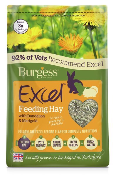 Šienas graužikams Burgess Excel Dandelion & Marigold, 1 kg цена и информация | Graužikų ir triušių maistas | pigu.lt