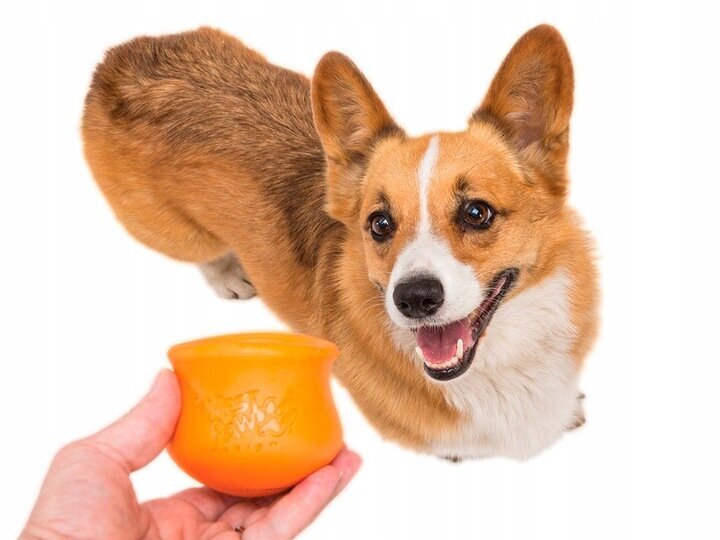Šunų žaislas West Paw Toppll, oranžinis, 8cm kaina ir informacija | Žaislai šunims | pigu.lt