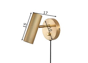 Настенный светильник Globen Lighting Hubble Brushed Brass цена и информация | Настенные светильники | pigu.lt